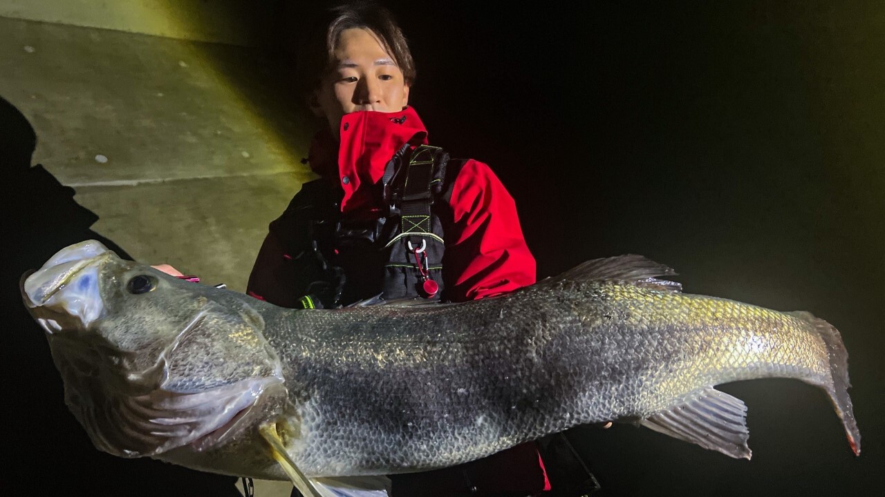 グレ釣り KING OF KINGS」 2023年1月9日（月・祝）、YouTube釣り人